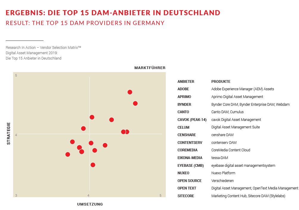 Die DAM-Studie listet 15 Anbieter für Deutschland (Bild: Research in Action)